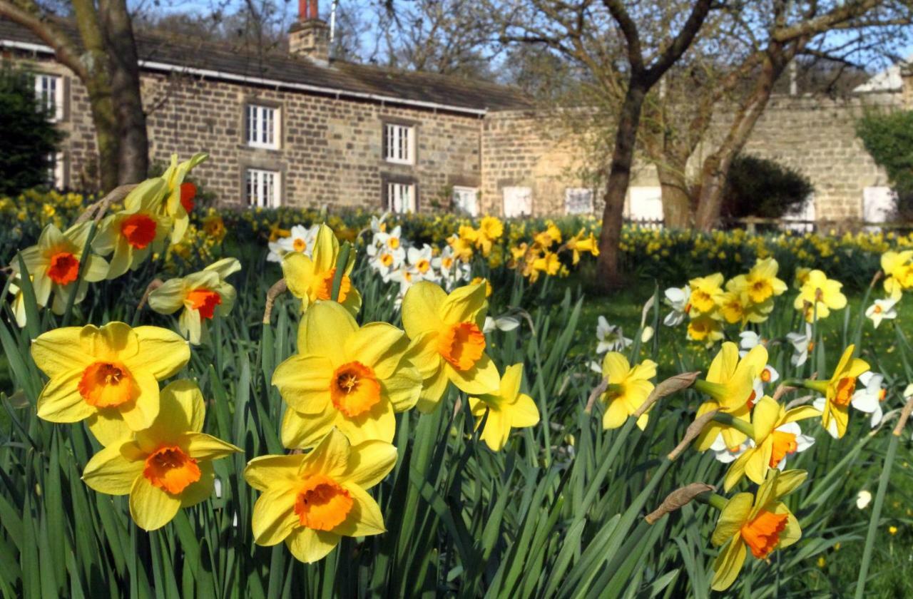 Harewood Estate Cottages Dış mekan fotoğraf